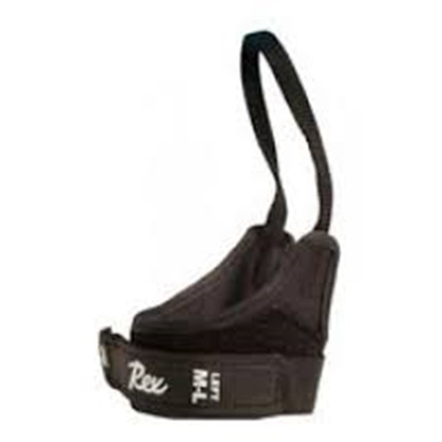 REX LACCIOLO RACING